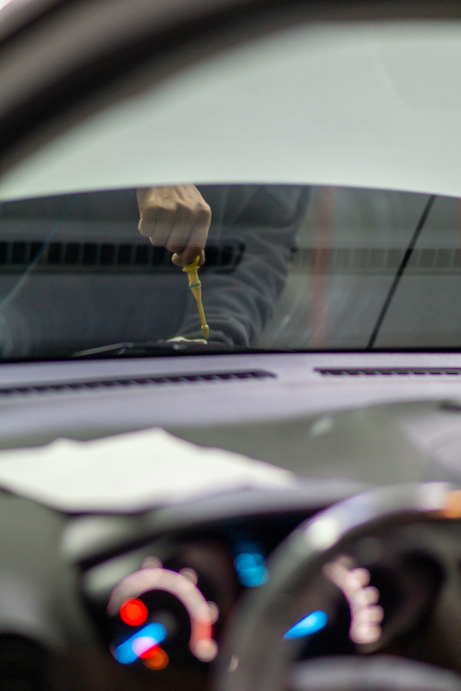 A person is sitting in a car with a flower in their hand
